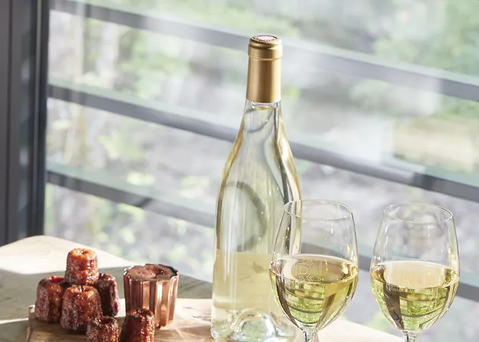 Domaine De Raba Hotel Talence