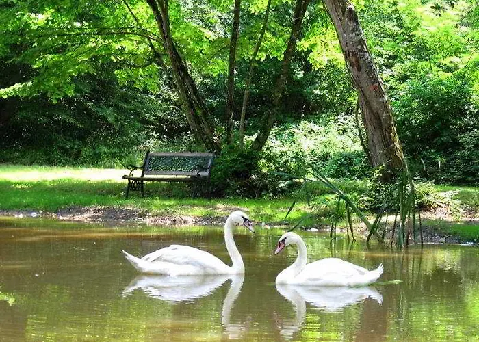 Domaine De Raba Hotel 4*